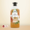 Herbal Essences Golden Moringa Oil Conditioner, 400 ml 6 Herbal Essences Golden Moringa Oil Conditioner 400 ml thai 2023