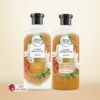 Herbal Essences Golden Moringa Oil Shampoo & Conditioner Set, 400 ml 3 Herbal Essences Golden Moringa Oil Shampoo Conditioner Set thai