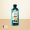 Herbal Essences Argan Oil Of Morocco Conditioner For Very Dry Rough Hair, 400 ml 13 Herbal Essences Argan Oil Of Morocco Conditioner For Very Dry Rough Hair 400 ml 1