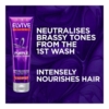 Loreal Elvive Colour Protect Purple Conditioner, 150 ml 7 Loreal Elvive Colour Protect Purple Conditioner 2