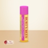 Burt's Bees Moisturizing Lip Balm, Dragonfruit Lemon 3 Burts Bees Moisturizing Lip Balm Dragonfruit Lemon
