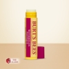Burt's Bees Moisturizing Lip Balm, Watermelon 2 Burts Bees Moisturizing Lip Balm Watermelon