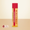 Burt's Bees Moisturizing Lip Balm, Strawberry 8 Burts Bees Moisturizing Lip Balm Strawberry