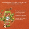 Vatika Moroccan Argan Anti Breakage Shampoo, 400 Ml 4 Vatika Moroccan Argan Anti Breakage Shampoo 400 Ml 2