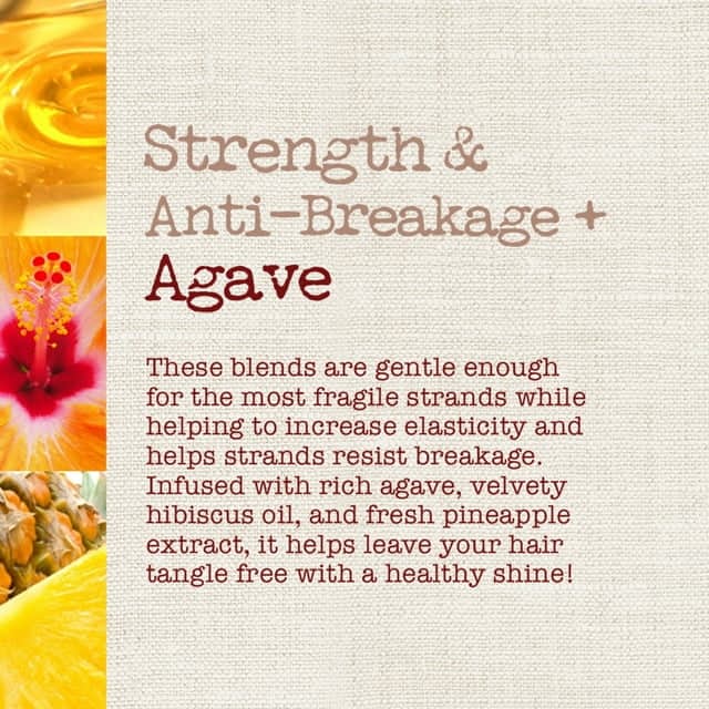 Maui Moisture Strength And Anti Breakage Agave Shampoo, 385 ml 2 Maui Moisture Strength And Anti Breakage Agave Shampoo, 385 ml - Image 2