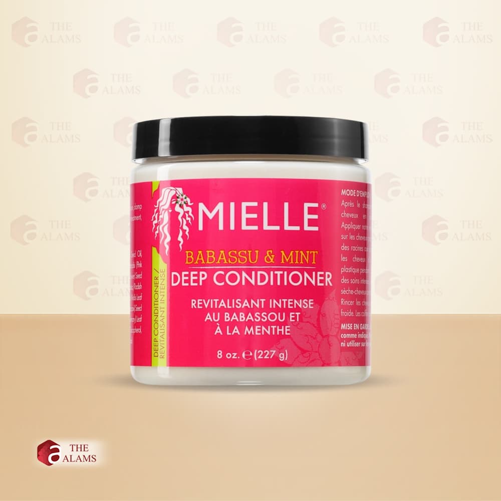 Mielle Babassu And Mint Deep Conditioner For Dry Damaged Hair, 227 g 1 Mielle Babassu And Mint Deep Conditioner For Dry Damaged Hair, 227 g
