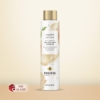 Pantene Complete Curl Care Shampoo With Jojoba Oil, 285 ml 12 Pantene Complete Curl Care Shampoo With Jojoba Oil