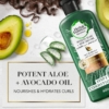 Herbal Essences Aloe And Avocado Oil Curl Hydrator Conditioner, 400 ml 4 Herbal Essences Aloe And Avocado Oil Curl Hydrator Conditioner, 400 ml