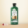 Herbal Essences Aloe And Avocado Oil Curl Hydrator Conditioner, 400 ml 17 Herbal Essences Aloe And Avocado Oil Curl Hydrator Conditioner, 400 ml