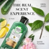 Herbal Essences Aloe And Avocado Oil Curl Hydrator Conditioner, 400 ml 5 Herbal Essences Aloe And Avocado Oil Curl Hydrator Conditioner, 400 ml