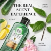 Herbal Essences Aloe And Avocado Oil Curl Hydrator Shampoo, 400 ml 5 Herbal Essences Aloe And Avocado Oil Curl Hydrator Shampoo, 400 ml