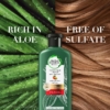 Herbal Essences Color Protect Aloe Mango Shampoo Conditioner Set, 400 ml 8 Herbal Essences Color Protect Aloe And Mango Conditioner, 400 ml