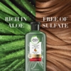 Herbal Essences Color Protect Aloe And Mango Shampoo, 400 ml 7 Herbal Essences Color Protect Aloe And Mango Shampoo, 400 ml