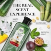 Herbal Essences Color Protect Aloe Mango Shampoo Conditioner Set, 400 ml 9 Herbal Essences Color Protect Aloe And Mango Shampoo, 400 ml