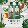Herbal Essences Color Protect Aloe Mango Shampoo Conditioner Set, 400 ml 6 Herbal Essences Color Protect Aloe And Mango Shampoo And Conditioner Set