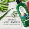 Herbal Essences Potent Aloe And Bamboo Conditioner For Weak Hair, 400 ml 6 Herbal Essences Potent Aloe And Bamboo Conditioner, 400 ml