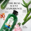 Herbal Essences Potent Aloe And Bamboo Conditioner For Weak Hair, 400 ml 8 Herbal Essences Potent Aloe And Bamboo Conditioner, 400 ml
