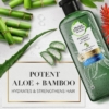 Herbal Essences Potent Aloe And Bamboo Shampoo For Weak Hair, 400 ml 6 Herbal Essences Potent Aloe And Bamboo Shampoo, 400 ml