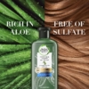 Herbal Essences Potent Aloe And Bamboo Shampoo For Weak Hair, 400 ml 7 Herbal Essences Potent Aloe And Bamboo Shampoo, 400 ml