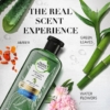 Herbal Essences Potent Aloe And Bamboo Shampoo For Weak Hair, 400 ml 8 Herbal Essences Potent Aloe And Bamboo Shampoo, 400 ml