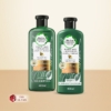 Herbal Essences Aloe Avocado Oil Curl Hydrator Shampoo Conditioner Set, 400 ml 10 Herbal Essences Aloe Avocado Oil Curl Hydrator Shampoo Conditioner Set, 400 ml