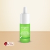 Dot Key Cica And Cactus 2 Salicylic Zinc Skin Clearing Serum