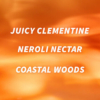 Bath & Body Works Travel Size Fine Fragrance Mist- Calypso Clementine, 75 ml 3 Bath & Body Works Travel Size Fine Fragrance Mist- Calypso Clementine, 75 ml