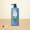 Herbal Essences Argan Oil Of Morocco Repair Shampoo For Very Dry Rough Hair, 600 ml 3 Herbal Essences Argan Oil Of Morocco Repair Shampoo 600 ml