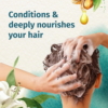 Herbal Essences Moroccan My Shine Shampoo For Rough Hair, 600 ml 5 Herbal Essences Moroccan My Shine Shampoo 1