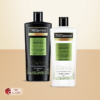 Tresemme Flawless Waves Shampoo Conditioner Set, 685 ml 11 Tresemme Flawless Waves Shampoo Conditioner Set