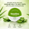 Vaseline Lip Therapy Tin Aloe 800x800 001 1